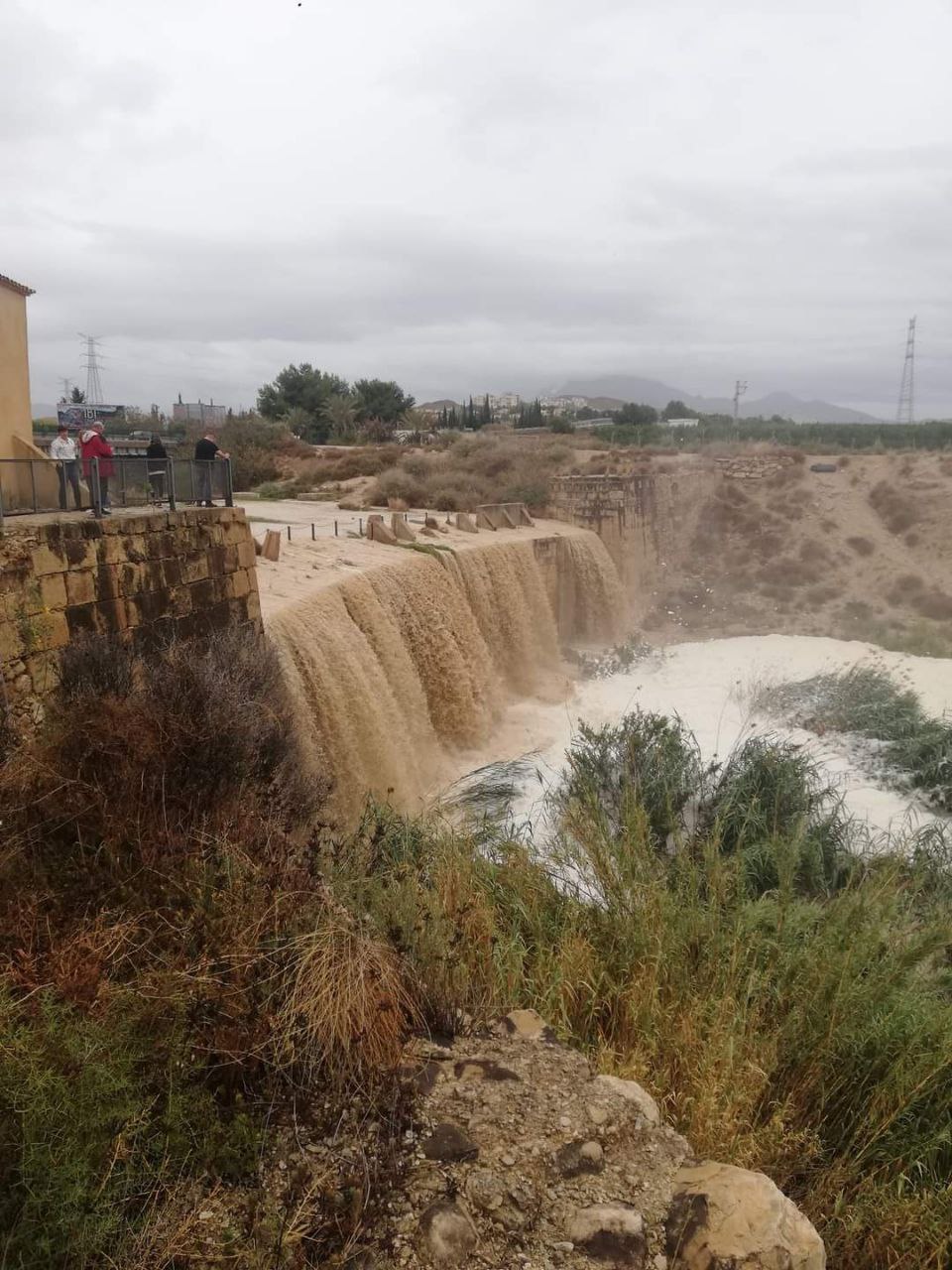 huerto10